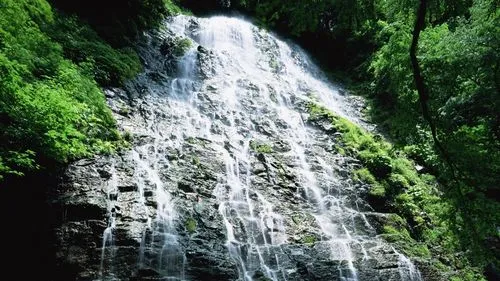 高效可靠性高标准